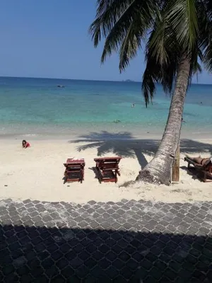 Image of Senja Bay Resort