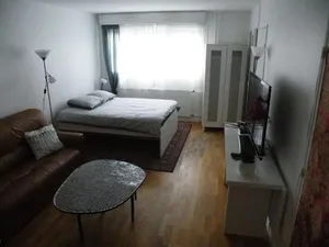 Image of Grand Studio indépendant