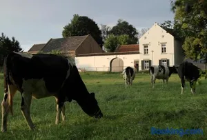 Image of La Vache Contente