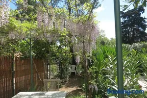 Image of Villa les Lys