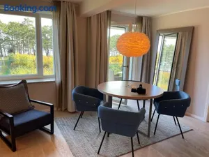 Image of Seeschwalbe mit Meerblick