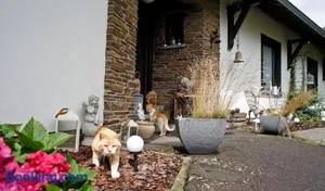 Image of B&B Au Coq en Pate