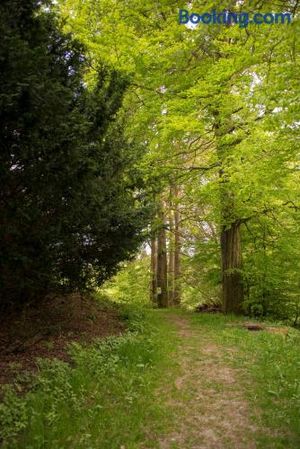 Image of App 622 Panoramic Hohegeiß mit WLan Terrassenhaus