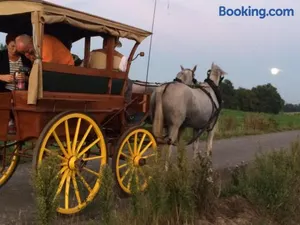 Image of Ferienwohnungen "Am Mühlteich"