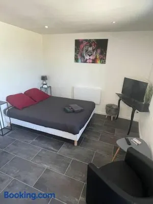 Image of Le Leone - Wi-Fi