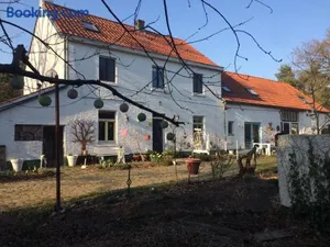 Image of Slaaphuisje Het vliegend varken