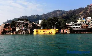 Image of Patnimal Guesthouse