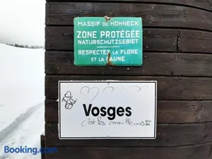 Image of ⁂⁂ GITE LE PRES AU CERF [CLEDICIHOME] 2 steps from the LISPACH resort // PRIVATE toboggan run! SNOWSHOE DEPARTURE ⁂⁂