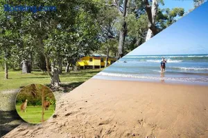 Image of Yellow Cottage - bush and beach