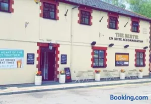 Image of Bertie Pontypridd
