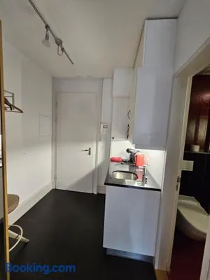 Image of Apartment Studio Center of Bern & Up to 7 Seats Cars Rental Option