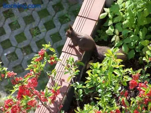 Image of Salotto di LaZia