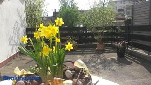 Image of Eulennest-lu