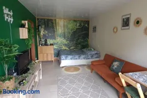 Image of Appartement thème jungle