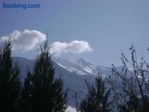 Image of fleur de neige