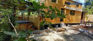 Image of Mini maison tiny house et son bain nordique