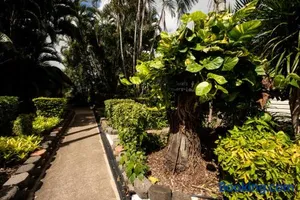 Image of Sarina Palms Caravan and Cabins Village