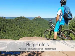 Image of WINETIME - Apartment Roschbach - für bis zu 5 Personen - idyllisch an den Weinbergen der südlichen Weinstraße zwischen Landau und Neustadt gelegen