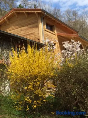 Image of Les Sittelles de Bamboche