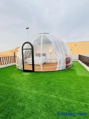 Image of Desert Night Camping