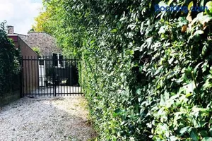 Image of De slaaploods