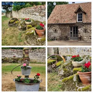 Image of Les naturelles