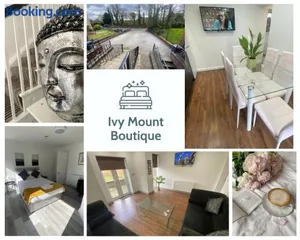 Image of Ivy Mount Boutique