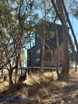 Image of Richmond Wildlife Haven