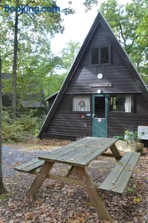 Image of Chalet De Rosse Eekhoorn