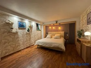 Image of Appartement T2 - lit KING SIZE en Hypercentre