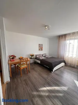 Image of Modern flat DE -CH- Airport -Parking