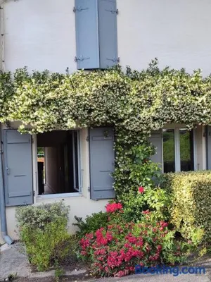 Image of Au petit jasmin