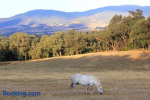 Image of Yackandandah farm homestead