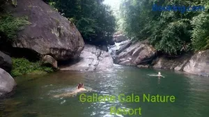 Image of Gallene Gala Nature Resort