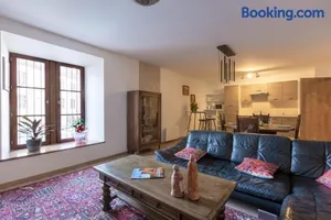 Image of LE RHENANUS Jacques Taurellus - appartement duplex au calme - centre ville - parking gratuit