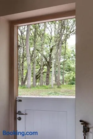 Image of Bosvilla Kennemerduinen