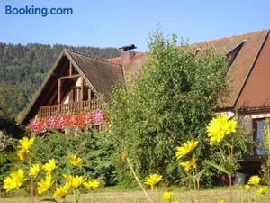 Image of Appartement charmant à Thannenkirch avec vue montagne