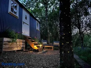Image of Cornwall Woodland Shepherd's Hut - Dennis Hut