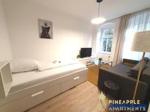 Image of Ruhiges Hinterhof Apartment im Herzen der Neustadt