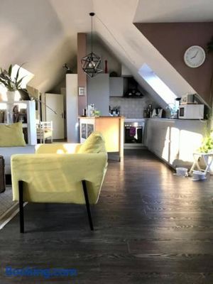 Image of Light flow stylish attic house. m. balcony