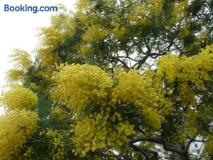 Image of Chambre chez l'habitant Nice Baie des Anges