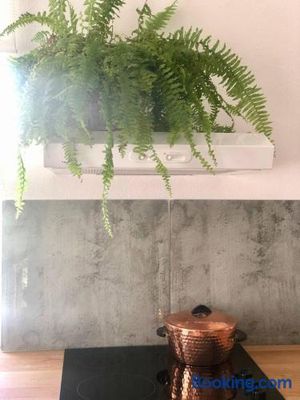 Image of Into The Green Apartment