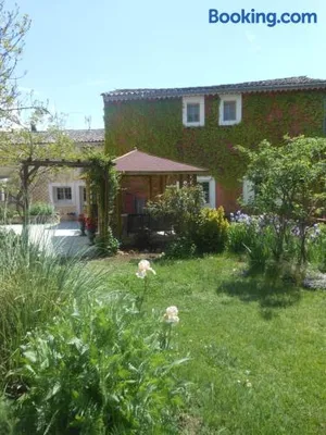 Image of Les Passiflores
