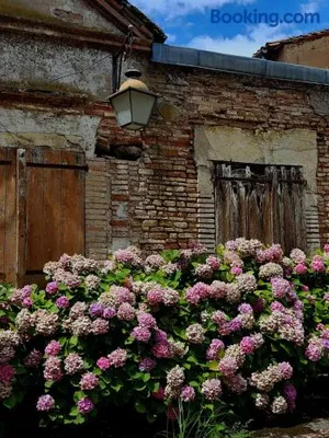 Image of La Cour Verte