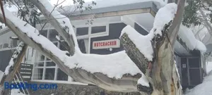 Image of Nutcracker Ski Club
