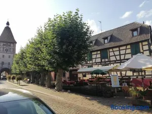 Image of Gites Aux Fines Bulles d'Alsace SPA privatif en supplément