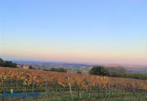 Image of Appartement Bagnols - Les Meublés des Pierres Dorées