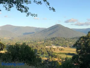 Image of Beauty of Healesville