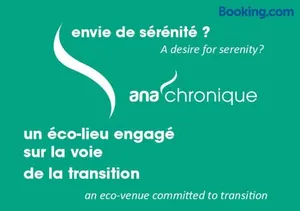 Image of Ana'chronique