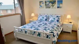 Image of Lighthouse Palms